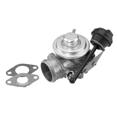Imagen de WAHLER 7301D/1 Válvula EGR neumático con juntas SEAT: Arosa, VOLKSWAGEN: Lupo / 3L, AUDI: A2