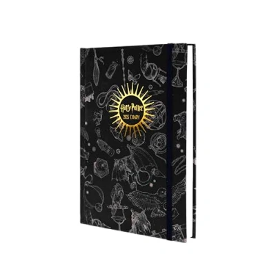 Imagen de Harry Potter Taschenkalender 2025 14,5 x 21,5 cm