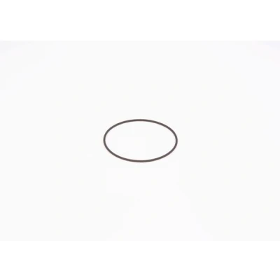 Imagen de BOSCH F 01M 100 371 Anillo obturador