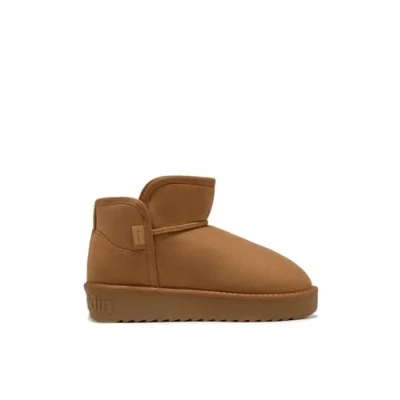 Imagen de D.Franklin Botas de Mujer Estilo Australianas Corte Bajo para Moda casual Talla (38) Modelo nordic low basic