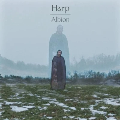 Imagen de Albion [Vinilo]