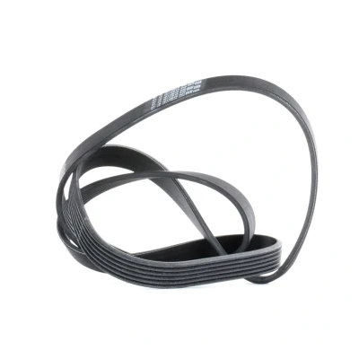 Imagen de CONTITECH 6PK1555 Correa trapecial poli V 1555 6 BMW: 3 Coupé, 5 Berlina, FORD: FOCUS Mk1 Hatchback, FIESTA 6, norauto, oscaro,