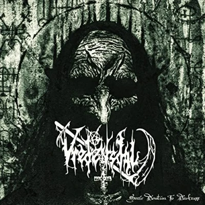 Imagen de Sonic devotion to darkness [Vinilo]