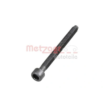 Imagen de METZGER 0872003S Tornillo, soporte inyector VOLKSWAGEN: Caddy 3, Touran I, Golf 5, SEAT: Leon II Hatchback, I Altea, AUDI: A4 B6 Avant
