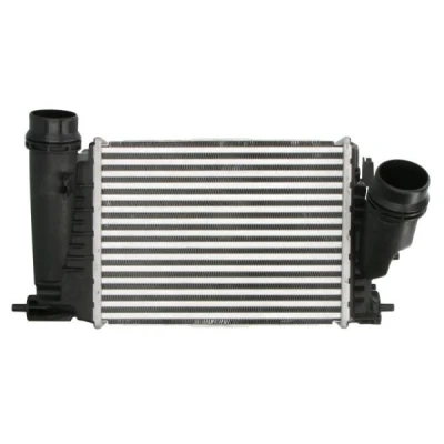 Imagen de Radiador de aire admisión THERMOTEC DAR029TT