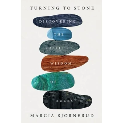 Imagen de Turning To Stone