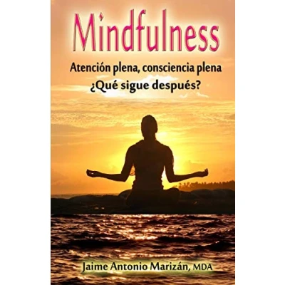 Imagen de Mindfulness: Atencion plena, consciencia plena. ¿Que sigue despues?