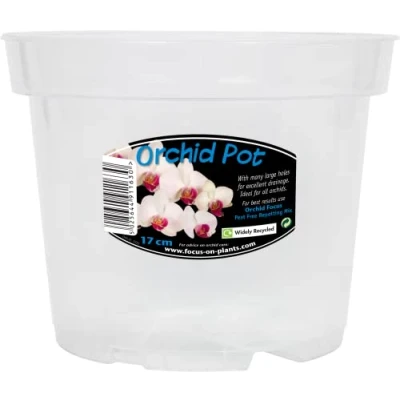 Imagen de Orquidea transparente de 17 cm.