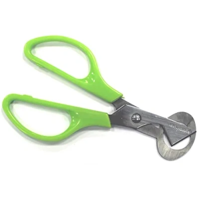 Imagen de Fackelmann Tijera huevos Codorniz, Cortador con sistema especial para abrir cáscaras de sin romperlos, Acero Inoxidable, Color Verde, 14,5x6cm, 1 ud.