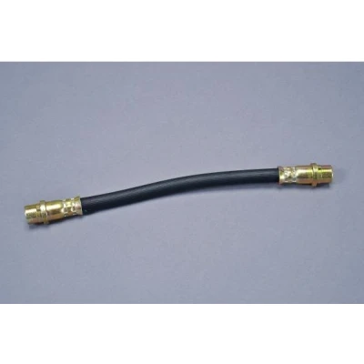 Imagen de Tubo flexible de frenos AUTOMEGA 120031010