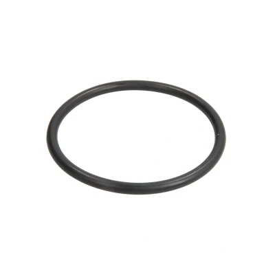Imagen de CEI 239.251 Anillo obturador