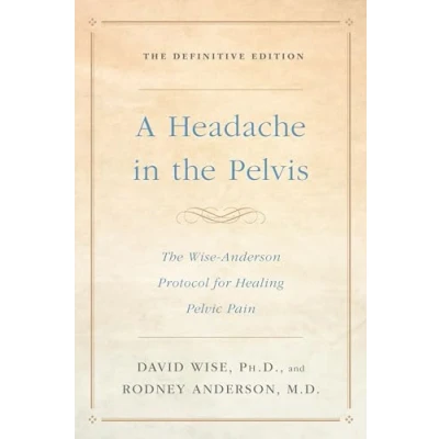 Imagen de A Headache In The Pelvis: Wise anderson Protocol For Healing Pelvi