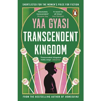 Imagen de Transcendent Kingdom
