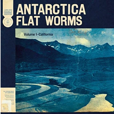 Imagen de Antarctica Vinilo