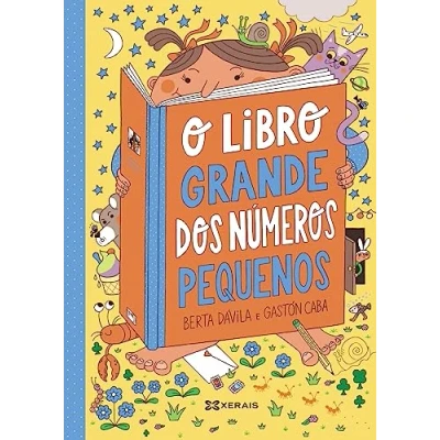 Imagen de O libro grande dos números pequenos (INFANTIL E XUVENIL PEQUENO MERLÍN Albums)