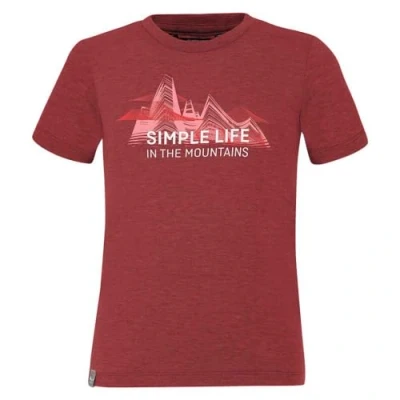 Imagen de SALEWA Camiseta Marca Modelo Simple Life Dry K S/S tee