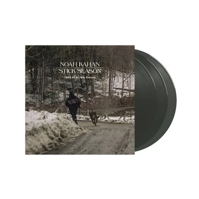 Imagen de Stick Season (We&#039;ll All Be Here Forever) [Vinilo]