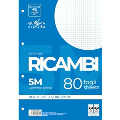 Imagen de Pigna, Paquete de 80 hojas perforadas 4 agujeros para archivar, A4, 21x29,7, con sin refuerzo, 5M, cuadriculadas 5 mm.