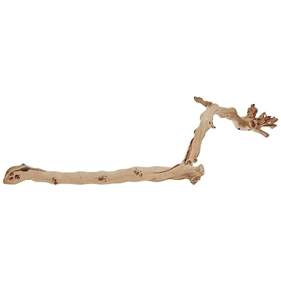 Imagen de Exo Terra Planta con Base Forest Branch Grande, 60 cm