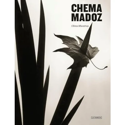 Imagen de Chema Madoz.: Obras Maestras.