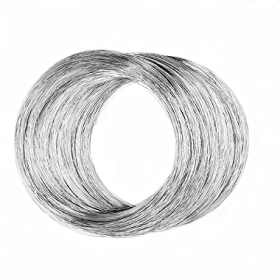 Imagen de alambre de acero inoxidable 304 0,1 mm 32 pies para manualidades Manuales Esculpir artístico Fabricación joyas bonsái
