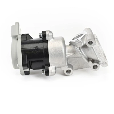Imagen de DELPHI EG10635 12B1 Válvula EGR con juntas, sin radiator PEUGEOT: 407 Berlina, SW, Coupé, CITROËN: C5 3, C6 Berlina