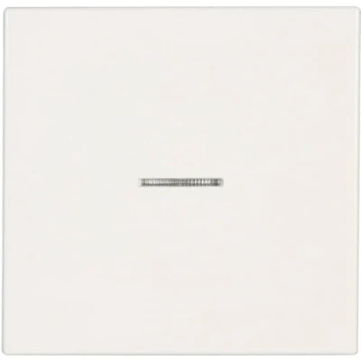 Imagen de JUNG LS990KO5WW Tecla Simple con Visor, Duroplástico (Resistente Al Rayado) Brillante, Blanco Alpino