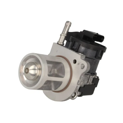 Imagen de Válvula EGR WAHLER 710095D