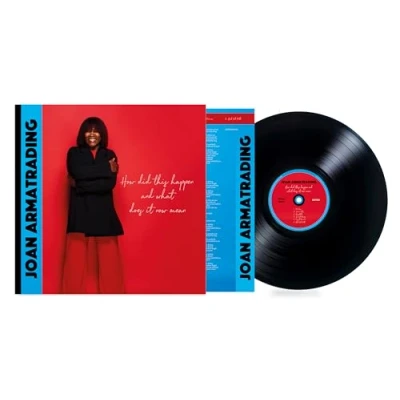 Imagen de How Did This Happen And What Does It Now Mean Vinilo