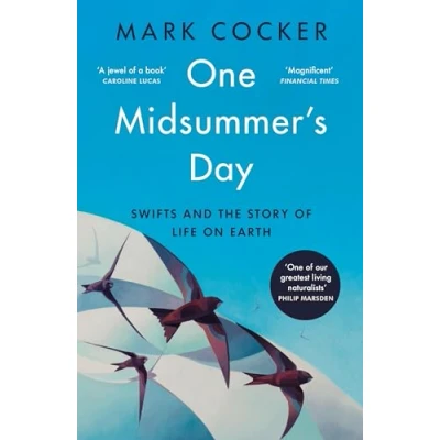 Imagen de One Midsummers Day