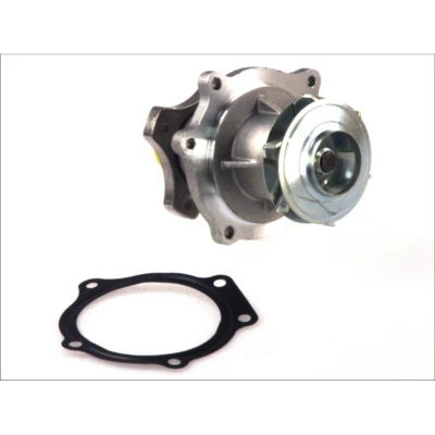 Imagen de THERMOTEC D1Y033TT Bomba de agua con junta