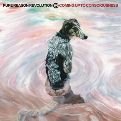 Imagen de Coming Up To Consciousness