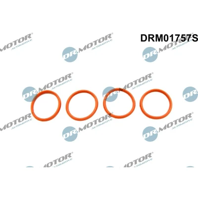 Imagen de DR.MOTOR AUTOMOTIVE DRM01757S Juego de juntas, colector admisión PEUGEOT: 207 Hatchback, 307 SW, Hatchback