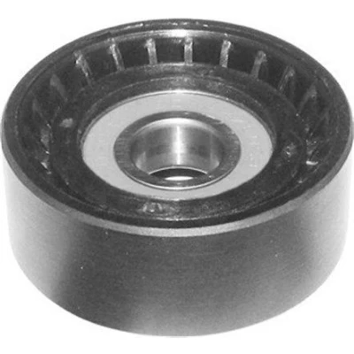 Imagen de MAGNETI MARELLI 331316170160 Polea Tensora FIAT: Doblo I Cargo, Fiorino III Furgón / Familiar, Panda II Hatchback, LANCIA: Ypsilon