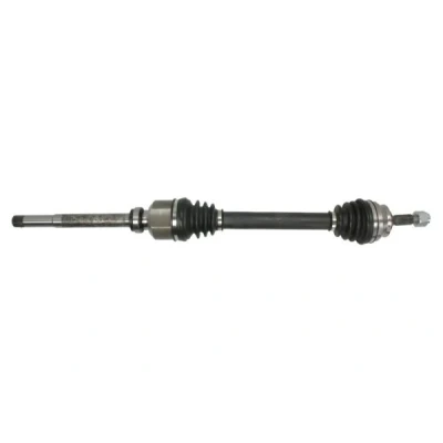 Imagen de Semi eje PASCAL G2C125PC