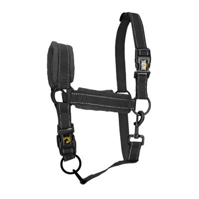 Imagen de Excellent Cabestro Superior Caballo Shet Negro