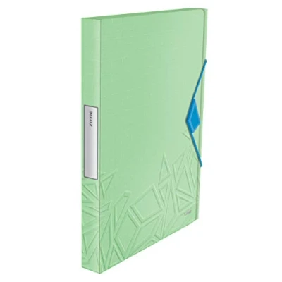 Imagen de Leitz Carpeta de Proyectos, Capacidad para 250 Hojas A4, Cierre Elástico, Plástico Flexible, Verde, gama Urban Chic, 39480050