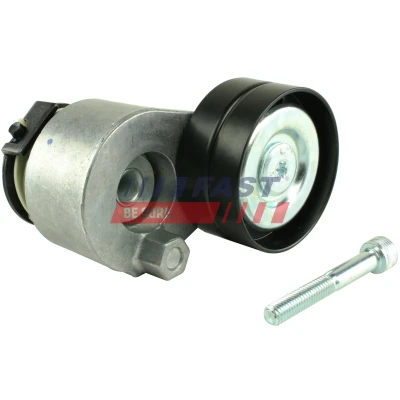 Imagen de Rodillo tensor, correa auxiliar FAST FT44616
