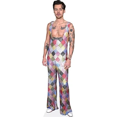 Imagen de Harry E. Styles (Colourful) tamano natural