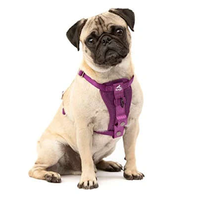 Imagen de Kurgo Tru Fit Arnés para Perro, de Paseo Perros, Anillo en D Entrenamiento sin Tirones, Incluye Mosquetón Seguridad, Púrpura, S