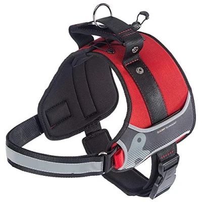 Imagen de Ferplast Arnés para Perros Hercules Large, Acolchado, Resistente, Anti rasguños, Visible en la Oscuridad, con Asa