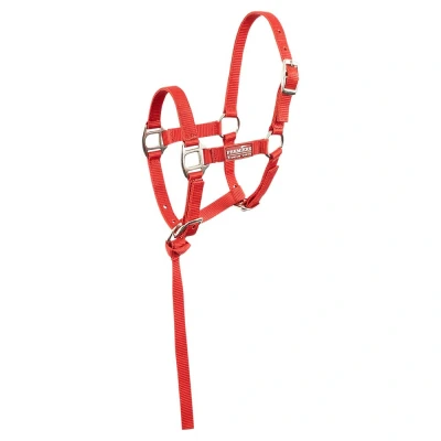 Imagen de Premiere cabestro para potro Brisk Veulen Rojo