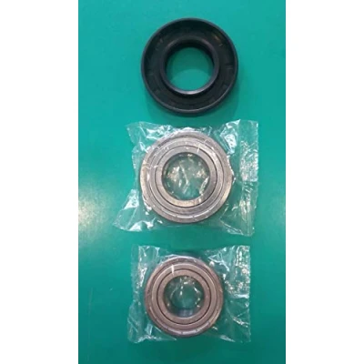 Imagen de Kit de rodamientos + junta para agua lavadora 35 x 65,55 10/12 6205ZZ SKF 6206ZZ