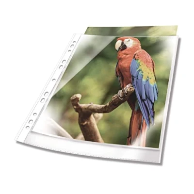 Imagen de DURABLE 2654 02. 10 Fundas A4 multitaladro premium Crystal polipropileno con borde blanco.