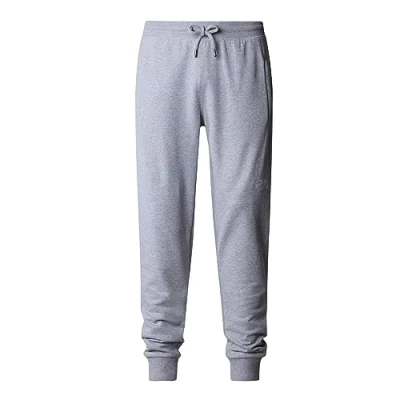 Imagen de THE NORTH FACE Never Stop Exploring Pantalones TNF Light Grey Heather XS