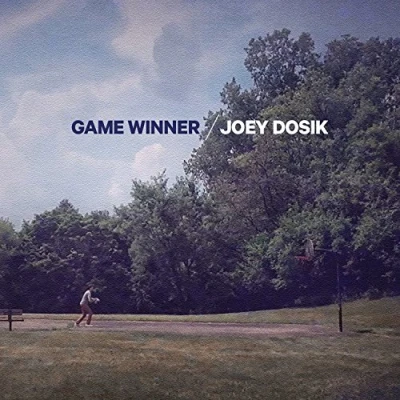Imagen de Game Winner Vinilo