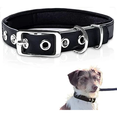 Imagen de PetTec Collar para perros grandes y pequeños de Trioflex™ Resistente a la intemperie ajustable en color rojo, marrón, negro naranja brillante