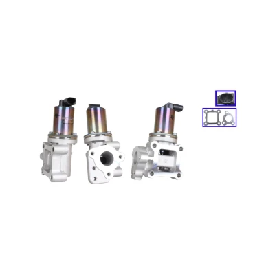 Imagen de ELSTOCK 72 0384 Válvula EGR eléctrico con juntas, sin radiator
