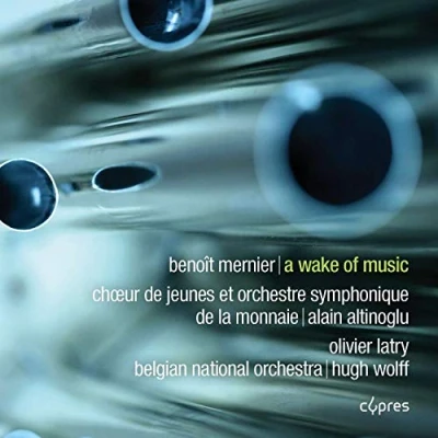 Imagen de A Wake Of Music WOLFF