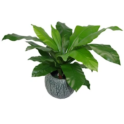 Imagen de Leaf Artificial Bird&#039;s Nest Helecho Planta Negro Maceta de plástico, 60 cm (LEAF 7050)